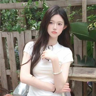 托梅斯的导盲犬